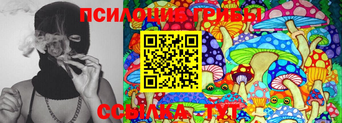 Псилоцибиновые грибы мицелий  Вход с VPN  Вышний Волочёк 