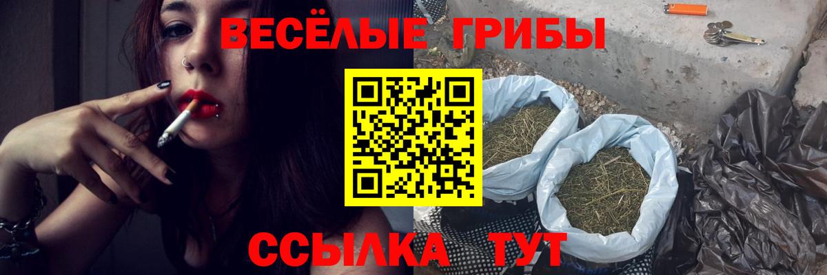 Псилоцибиновые грибы Cubensis Вышний Волочёк